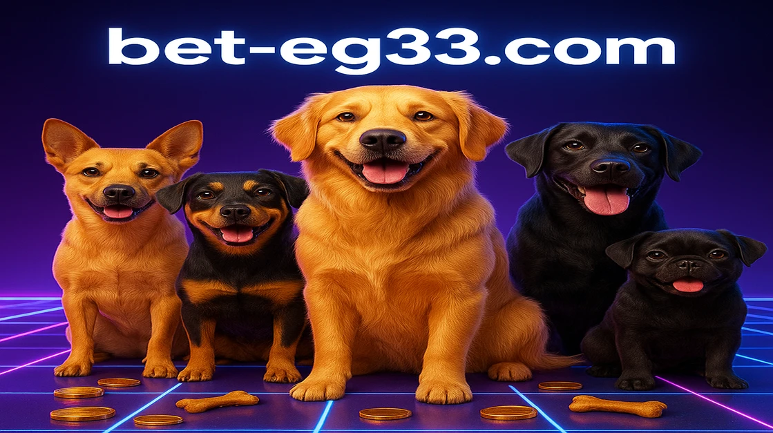 EG33 গেমিং প্ল্যাটফর্মে The Dog House Megaway শিরোনামের বন্ধুত্বপূর্ণ কুকুর-গেমটি খেলার সুযোগ রয়েছে। পাঁচটি ভিন্ন কুকুর প্রজাতি বড় পুরস্কারের সুযোগের জন্য প্রস্তুত।
